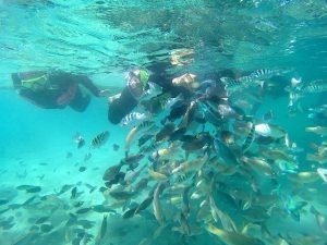wisata lombok gili trawangan murah 2D1N inap plus mandalika fish