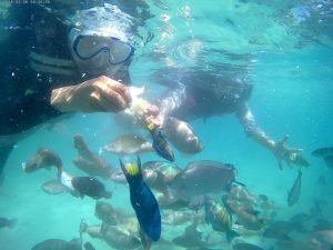 fish feeding di Gili Air Lombok