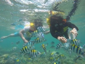 snorkeling di kawasan Gili Nanggu