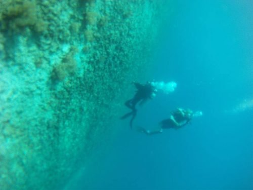 330_scuba diving lombok_gili trawangan